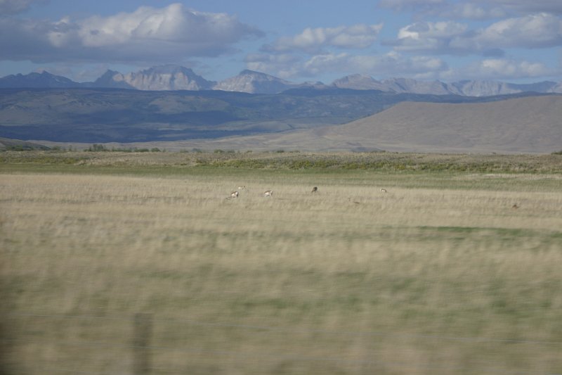 IMG_4978.JPG