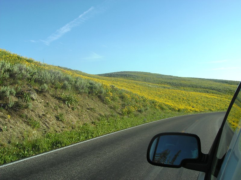 BILD0677.JPG - Supra